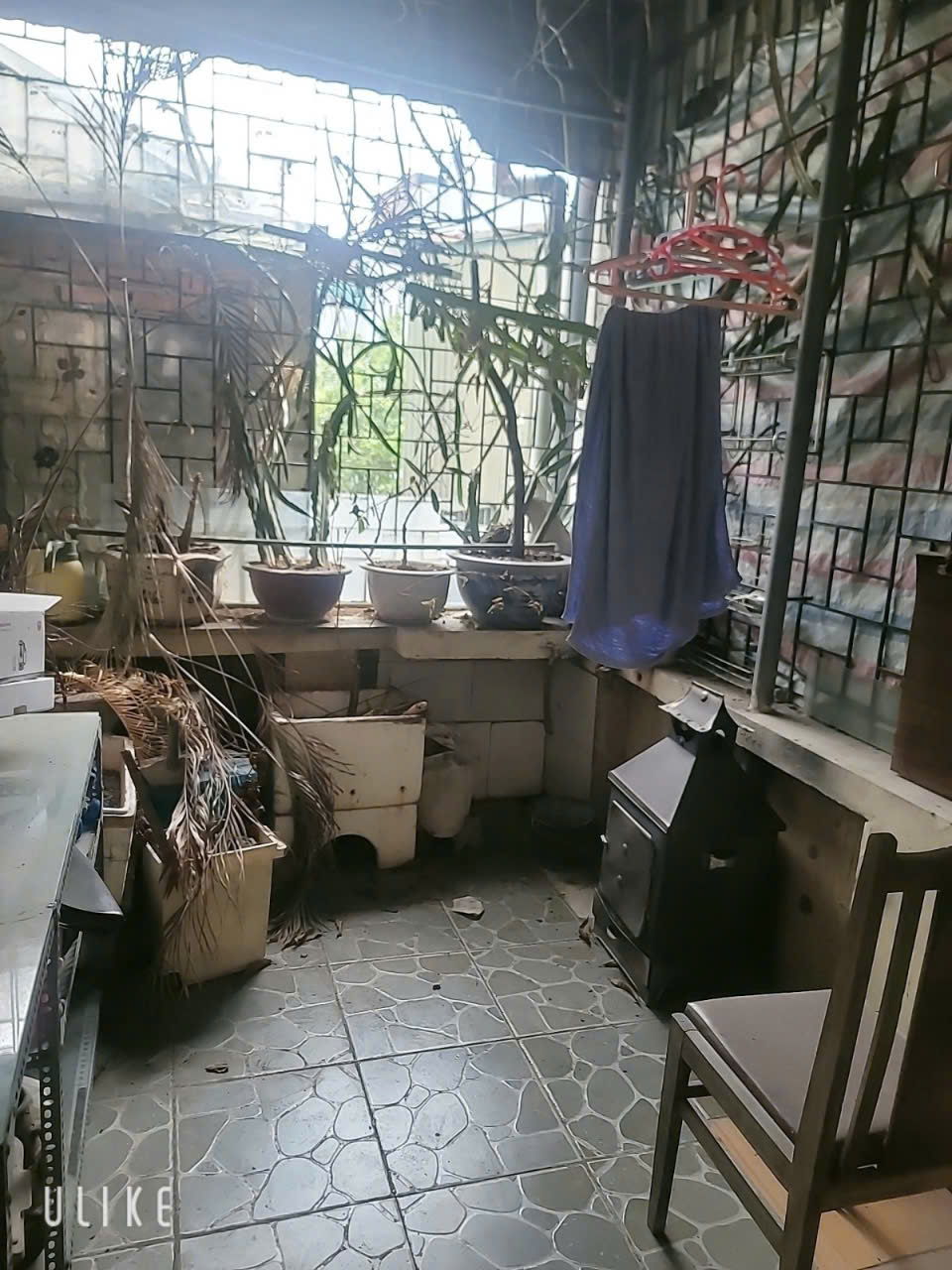 z6212401254067_d893a96f80cf18cffd87cdac35483512 z6212401254067_d893a96f80cf18cffd87cdac35483512