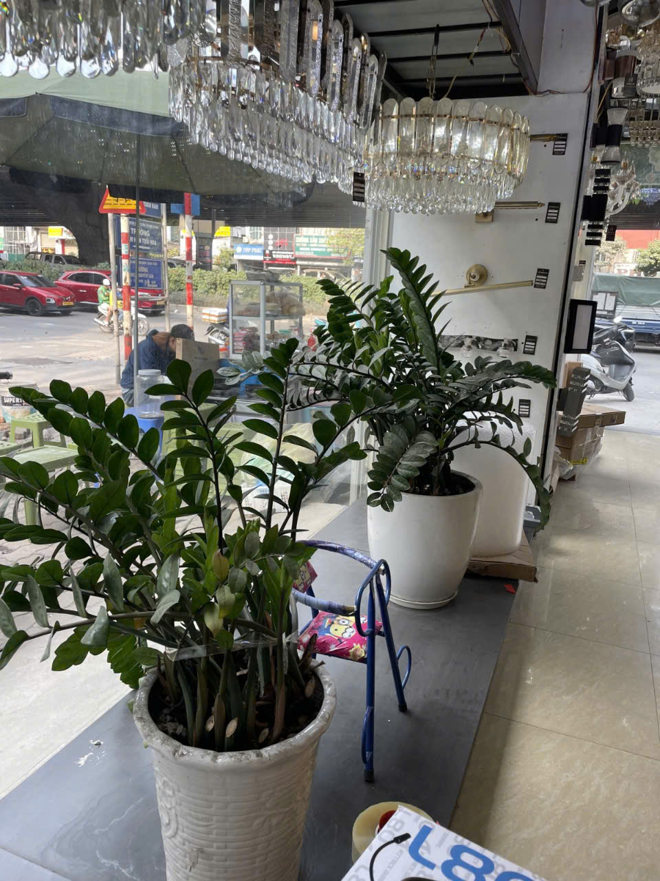 z6297576502028_78301fe7a5499dc2224668cddd480ea0