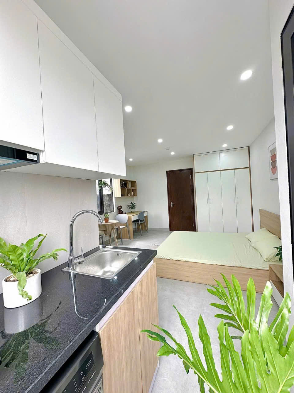 z6501249486891_cfef3ad7e21dfebf7d0538a3f1b588b6 z6501249486891_cfef3ad7e21dfebf7d0538a3f1b588b6